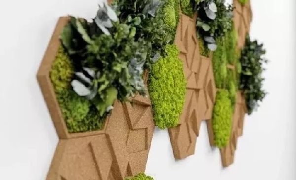 Zelená stena - skvelý trend pre vertikálne záhrady